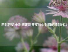 足彩开奖,中彩网足彩开奖与中彩网的精彩对决