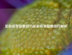 足彩必发指数技巧足彩必发指数技巧解析