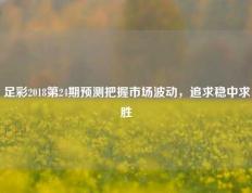 足彩2018第24期预测把握市场波动，追求稳中求胜