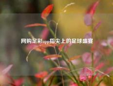 网购足彩app指尖上的足球盛宴