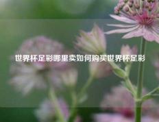 世界杯足彩哪里卖如何购买世界杯足彩