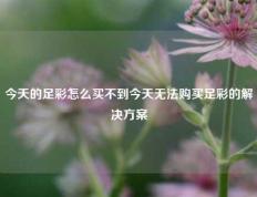 今天的足彩怎么买不到今天无法购买足彩的解决方案