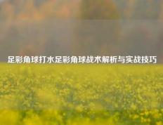 足彩角球打水足彩角球战术解析与实战技巧