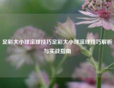 足彩大小球滚球技巧足彩大小球滚球技巧解析与实战指南