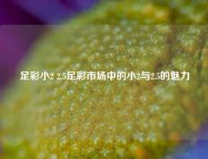 足彩小2 2.5足彩市场中的小2与2.5的魅力