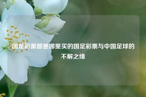 国足彩票都是哪里买的国足彩票与中国足球的不解之缘