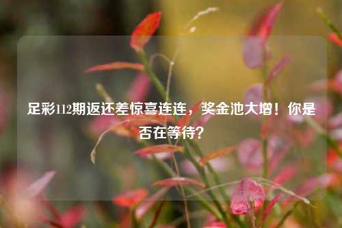 足彩112期返还差惊喜连连，奖金池大增！你是否在等待？