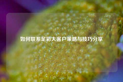 如何联系足彩大客户策略与技巧分享