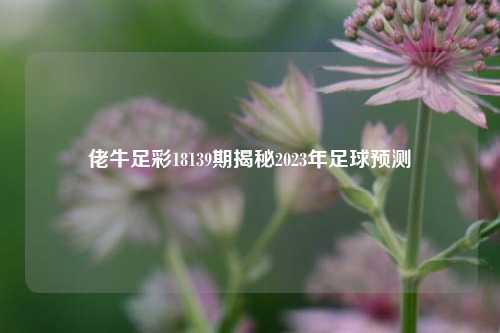 佬牛足彩18139期揭秘2023年足球预测
