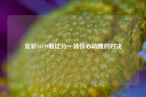 足彩16199期比分一场惊心动魄的对决