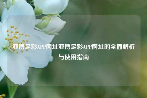 亚博足彩APP网址亚博足彩APP网址的全面解析与使用指南