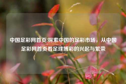 中国足彩网首页!探索中国的足彩市场，从中国足彩网首页看足球博彩的兴起与繁荣