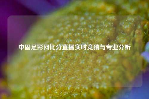 中固足彩网比分直播实时竞猜与专业分析