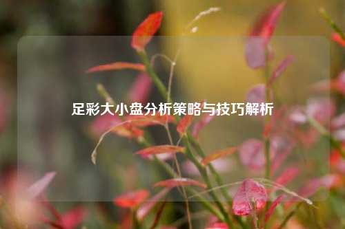 足彩大小盘分析策略与技巧解析