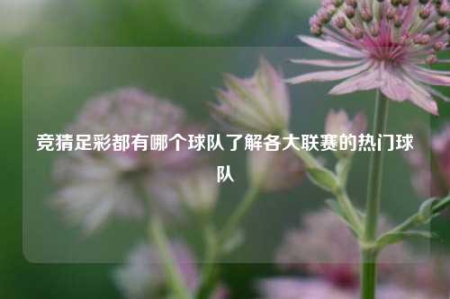 竞猜足彩都有哪个球队了解各大联赛的热门球队