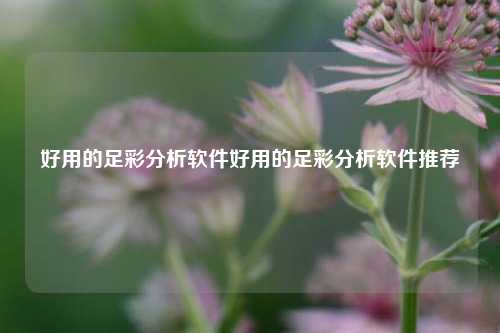 好用的足彩分析软件好用的足彩分析软件推荐