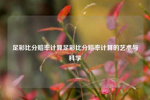 足彩比分赔率计算足彩比分赔率计算的艺术与科学