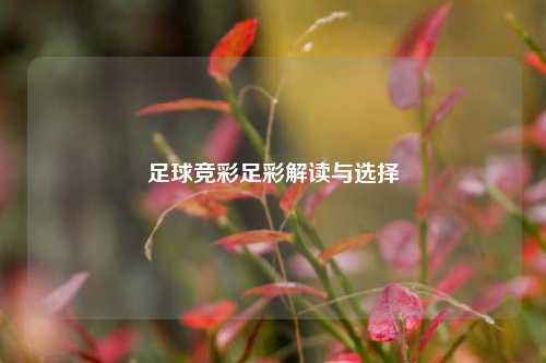 足球竞彩足彩解读与选择