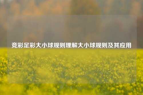 竞彩足彩大小球规则理解大小球规则及其应用