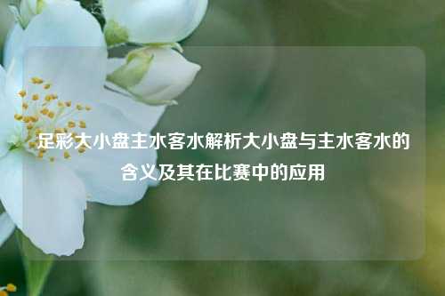 足彩大小盘主水客水解析大小盘与主水客水的含义及其在比赛中的应用