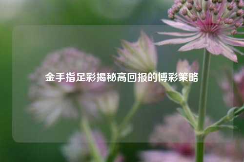 金手指足彩揭秘高回报的博彩策略