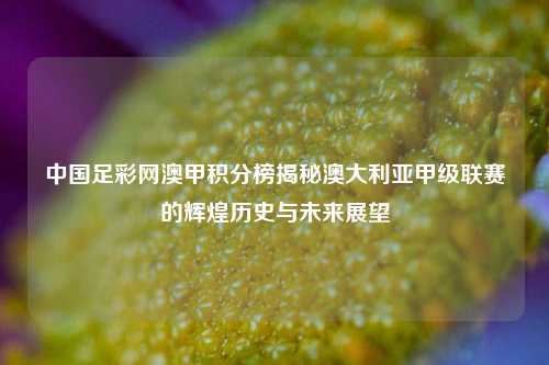 中国足彩网澳甲积分榜揭秘澳大利亚甲级联赛的辉煌历史与未来展望