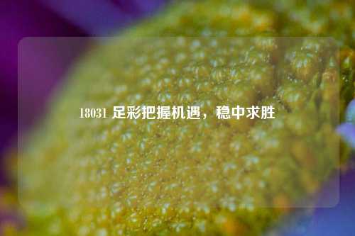 18031 足彩把握机遇，稳中求胜