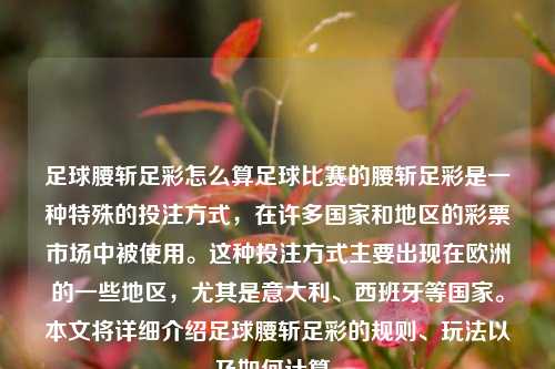 足球腰斩足彩怎么算足球比赛的腰斩足彩是一种特殊的投注方式，在许多国家和地区的彩票市场中被使用。这种投注方式主要出现在欧洲的一些地区，尤其是意大利、西班牙等国家。本文将详细介绍足球腰斩足彩的规则、玩法以及如何计算。
