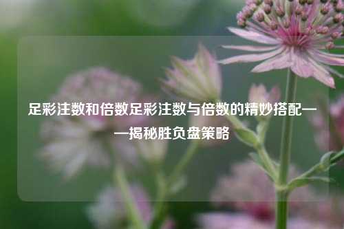足彩注数和倍数足彩注数与倍数的精妙搭配——揭秘胜负盘策略