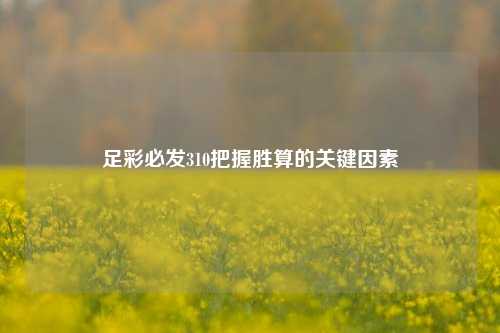 足彩必发310把握胜算的关键因素
