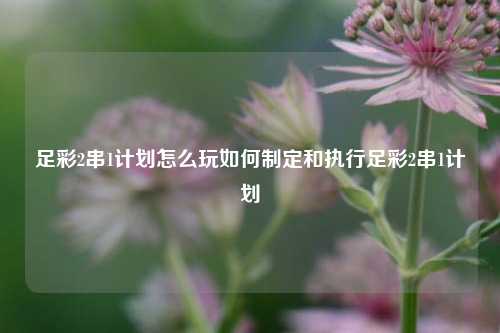 足彩2串1计划怎么玩如何制定和执行足彩2串1计划