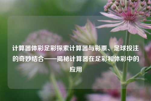 计算器体彩足彩探索计算器与彩票、足球投注的奇妙结合——揭秘计算器在足彩和体彩中的应用