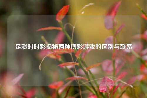 足彩时时彩揭秘两种博彩游戏的区别与联系