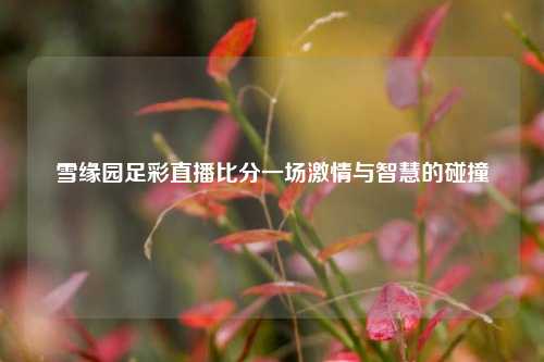 雪缘园足彩直播比分一场激情与智慧的碰撞