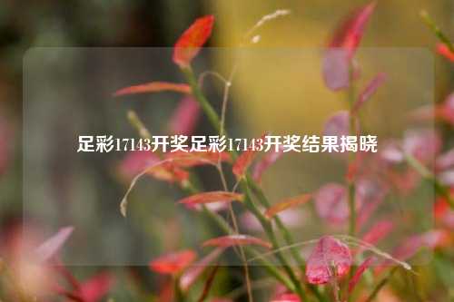 足彩17143开奖足彩17143开奖结果揭晓