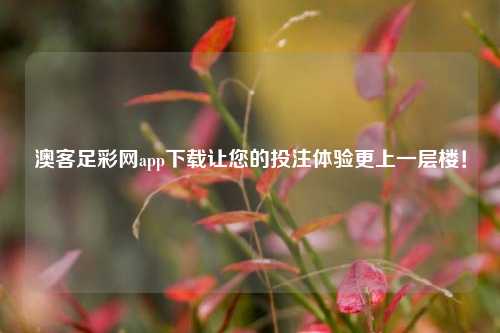 澳客足彩网app下载让您的投注体验更上一层楼！